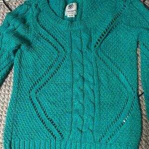 Teal American Eagle Sweater